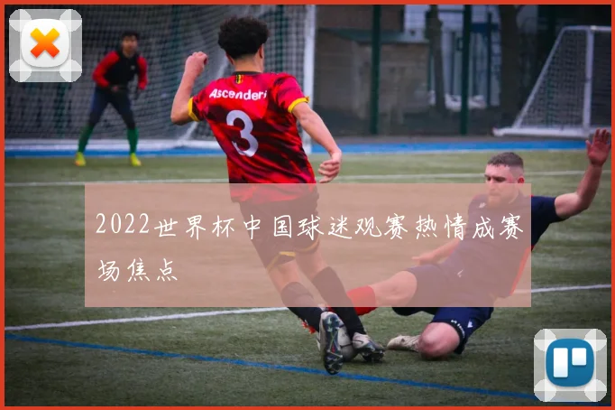2022世界杯中国球迷观赛热情成赛场焦点