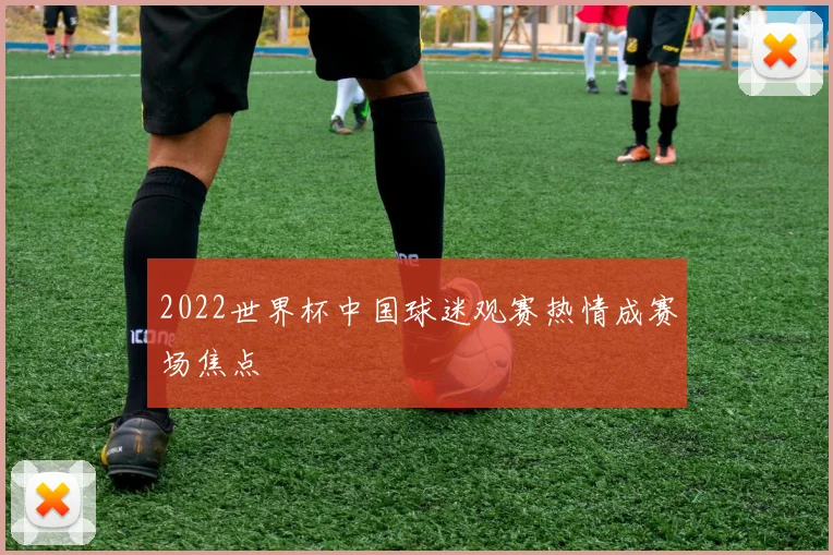 2022世界杯中国球迷观赛热情成赛场焦点