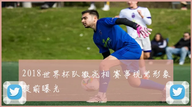 2018世界杯队徽亮相 赛事视觉形象提前曝光
