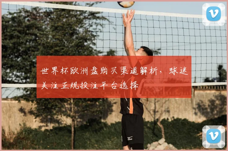 世界杯欧洲盘购买渠道解析，球迷关注正规投注平台选择