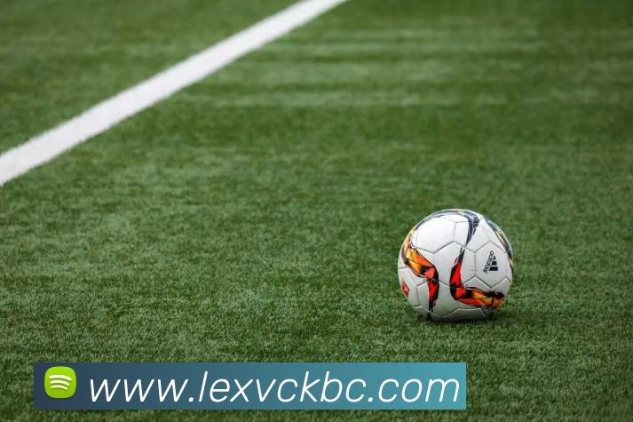 ky体育app官网登录入口 - 开云(中国)APP 体育赛事宣传图